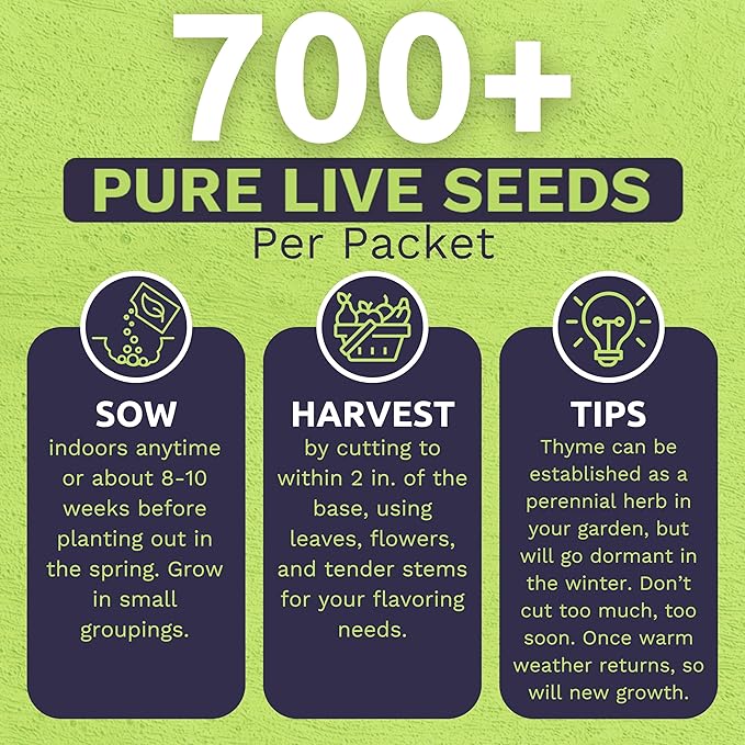 Organic English Thyme Seeds – Two Seed Packets! – Over 1,400 Open Pollinated Non-GMO Seeds – Sweet Yards Seed Co.