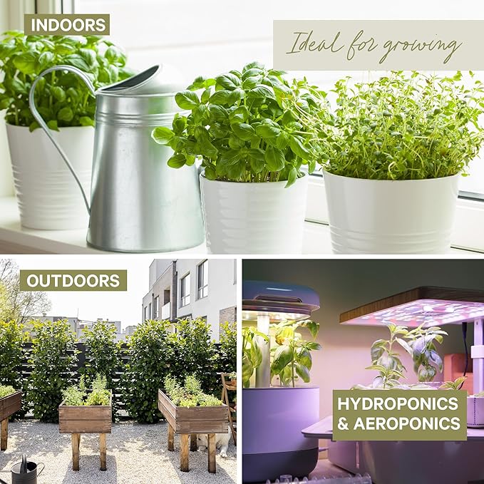 5 Certified Organic Herb Seeds Variety Pack (4X More) 2,800+ Non GMO Seeds for Planting Indoor Herb Garden or Outdoor Herb Garden Seeds for Planting | Including Basil, Cilantro & More
