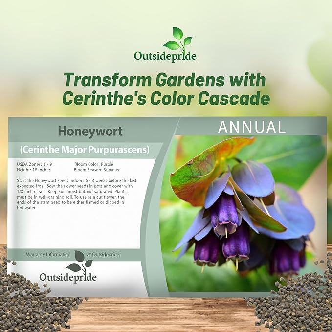 Outsidepride Cerinthe Major Honeywort Seeds - 100 Pcs. Annual, Self-Sowing & Easy to Grow, Flower Seeds for Planting, Vibrant Purple-Blue Tube-Like Blooms for Garden Beds, Borders & Container Displays