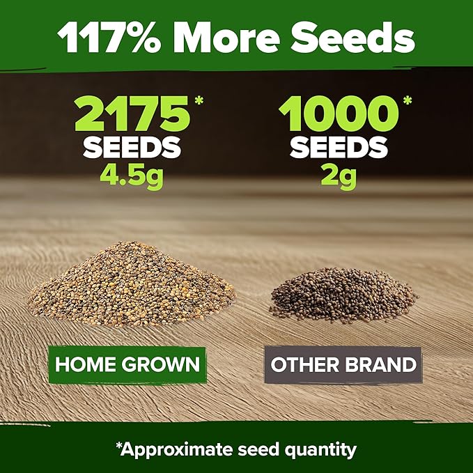 HOME GROWN Arugula Roquette Seeds Pack Non GMO 2,175 Heirloom Arugula Seeds for Planting Best for Outdoor Gardens,Providing Fast-Growing Greens for Salads - Eruca vesicaria