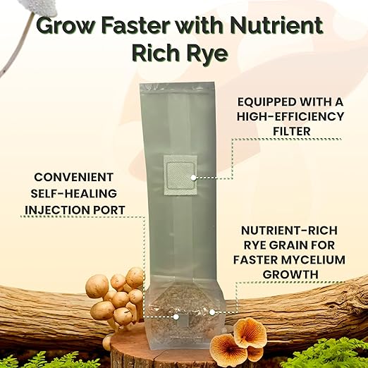MycoHaus Mushroom Growing Kit with Injection Ports | Sterilized Rye Grain | Magic Indoor Grow Bags for Mushrooms | Home Cultivation Supplies | Without Spores | 1 Pound (12 Pack)