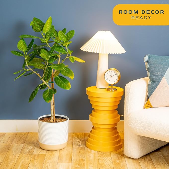 Costa Farms Ficus Audrey Tree Live Plant in Decorative Pot, Large Indoor Houseplant, Perfect for Home, Room, or Office Decor, Great House Warming or Birthday Gift, 2-3 Feet Tall