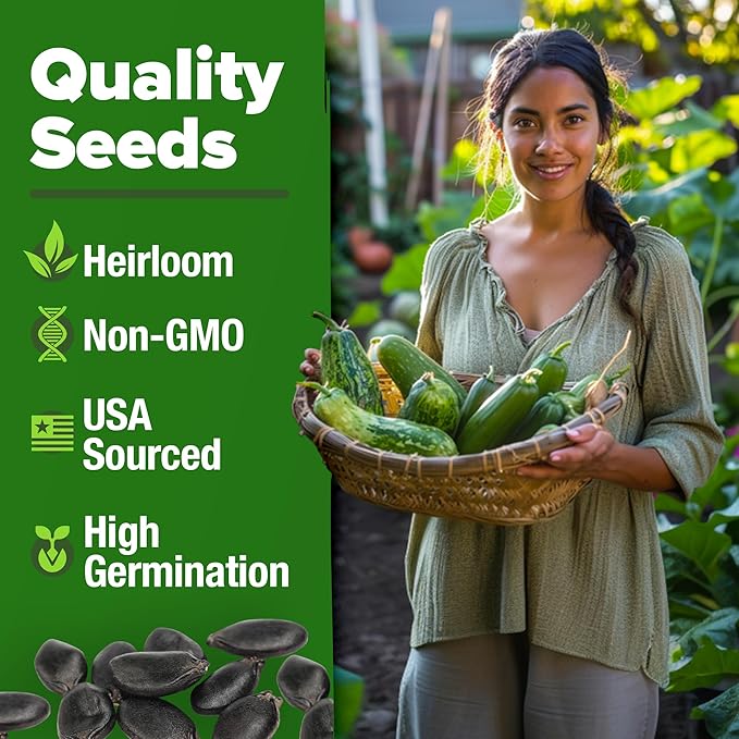 HOME GROWN Luffa Seeds (Luffa aegyptiaca) 40 Heirloom Loofah Gourd Seeds for Planting High Germination Rate - Make Sponges or Harvest Young Loofahs for Eating