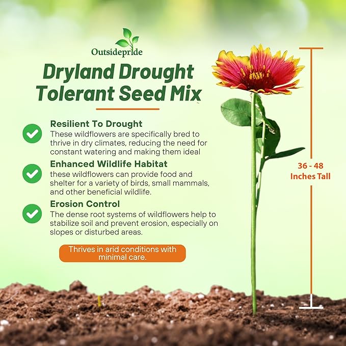 Outsidepride Dryland Wildflower Seed Mix - 5 lbs. Colorful Blend of Drought Tolerant, Annual and Perennial Wildflower Seeds for Attracting Pollinators in Arid States & Xeriscapes