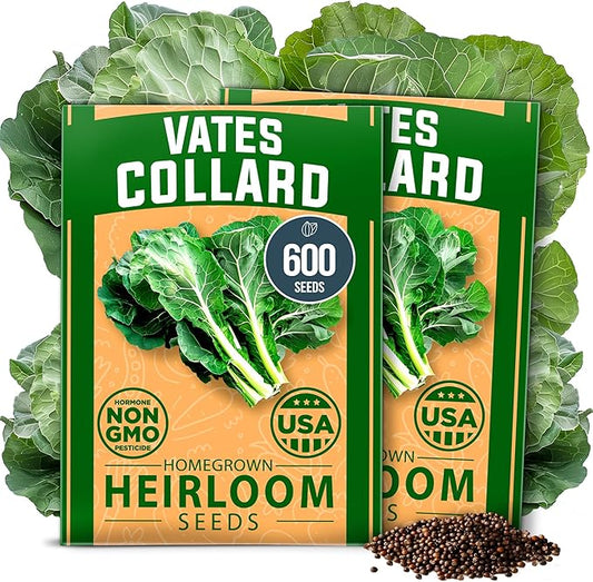 HOME GROWN Collard Green Seeds - 2 Pack - 600 Seeds for Fall Planting - High Germination Heirloom Vegetable Seeds,Vates Collard Greens Seed Pack(Brassica oleracea)