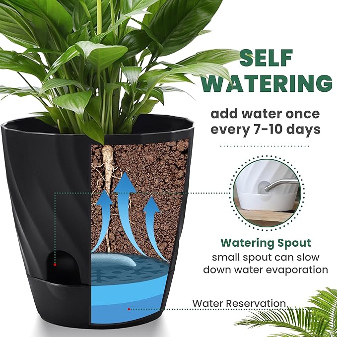 Plant Pots with Drainage, Self Watering Pots for Indoor Plants, Home Decor Flower Planters, 6 Pack Plastic Planters Succulent Pots, Black