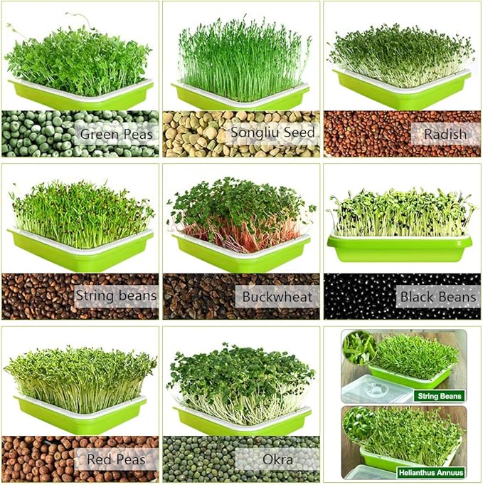 SUNPRO 2-Pack Seed Sprouter Tray BPA Free PP Soil-Free Big Capacity Healthy Wheatgrass Grower Sprouting Container Kit with Lid (2, Green)