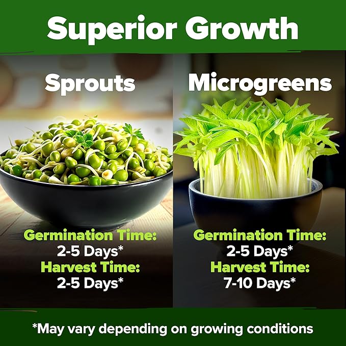 HOME GROWN Mung Beans Seeds Pack 1.5 lb – Over 15,000 Sprouting Seeds – Grow Fresh Mung Bean Sprouts or Microgreens for Quick, Easy, Nutrient-Packed Food for Your Daily Meals (Vigna Radiata)