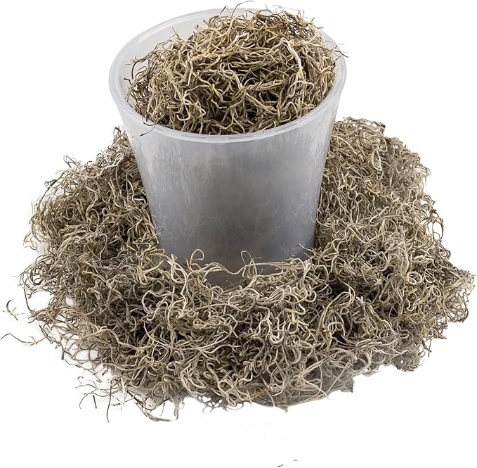 Gardenera Premium Natural Spanish Moss | Natural Preserved - Great Ground Cover - Filler for Potted Plants - 2 Quart Bag (GRD-SPANISH-MOSS-2QT)