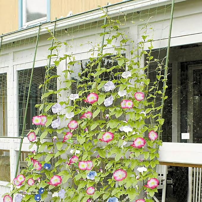 CISDUEO 2 Pcs Artificial Vines Silk Morning Glory Vines for Outdoor 15Feet Hanging Plants Garland Pink Fake Green Plant Morning Glories for Home Decor Wall Fence Stairway Wedding Hanging Baskets