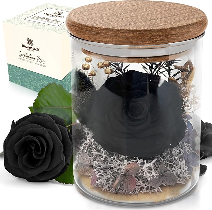 Black Rose Premium Eternal Roses - Real Preserved Rose in Glass Dome - Gothic Style Decor for Funeral Occasions