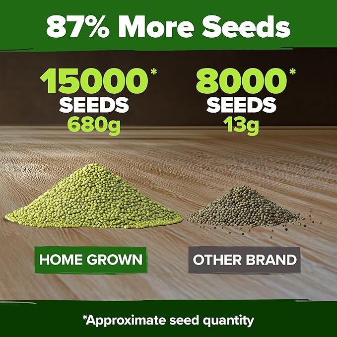 HOME GROWN Mung Beans Seeds Pack 1.5 lb – Over 15,000 Sprouting Seeds – Grow Fresh Mung Bean Sprouts or Microgreens for Quick, Easy, Nutrient-Packed Food for Your Daily Meals (Vigna Radiata)