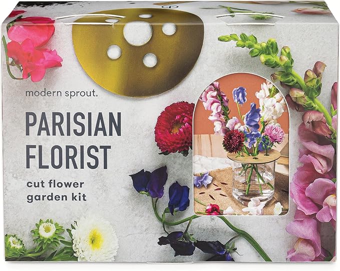 Modern Sprout Travel Trio Parisian Flower Shop; Travel-Inspired Seed Kit with Brass Flower Frog, Organic Seed Starting; Gardening Gift