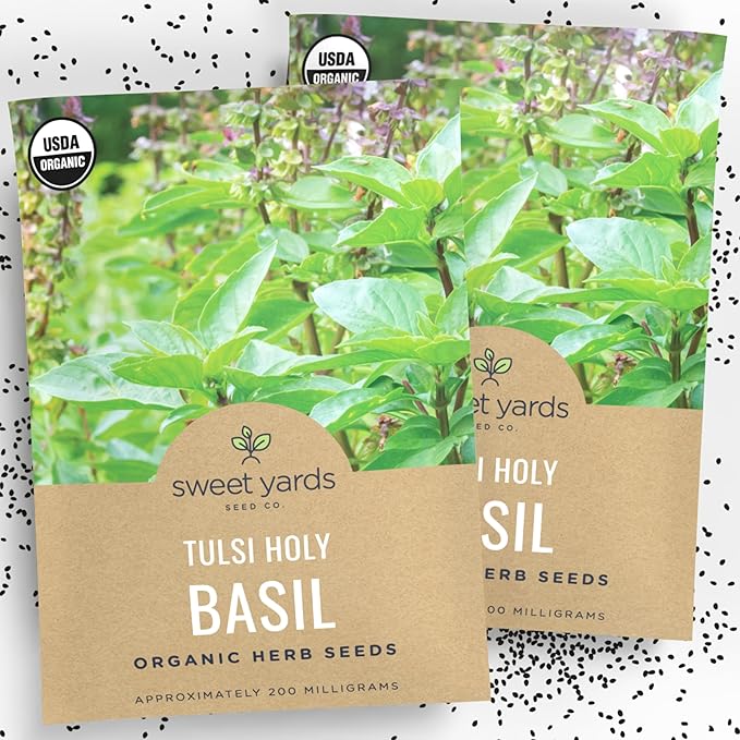 Organic Holy Basil Seeds ‘Tulsi’ – Two Seed Packets! – Over 1,550 Open Pollinated Non-GMO Seeds – Sweet Yards Seed Co.