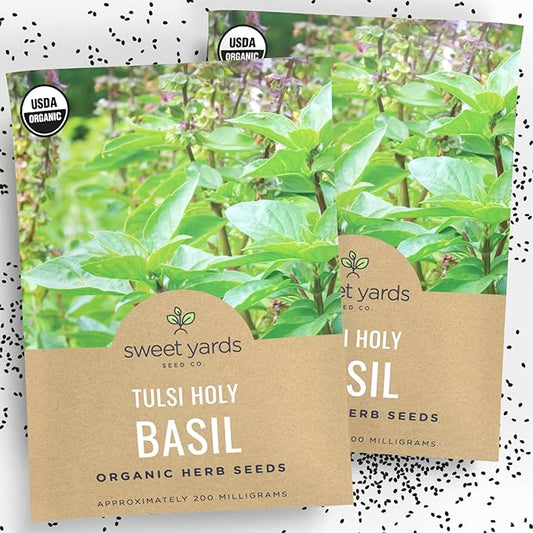 Organic Holy Basil Seeds ‘Tulsi’ – Two Seed Packets! – Over 1,550 Open Pollinated Non-GMO Seeds – Sweet Yards Seed Co.