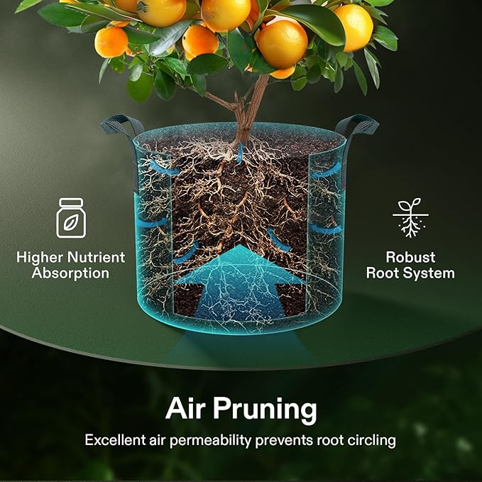 VIVOSUN 20-Pack 1 Gallon Grow Bags, Heavy Duty Thickened Nonwoven Fabric Pots with Handles for Flowers Fruits and Vegetables Black