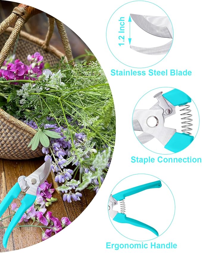 Pruning Shears for Gardening, 2 Pack Garden Scissors for Cutting Fresh Flowers, Floral Clippers for Plants, Fruits (Blue)