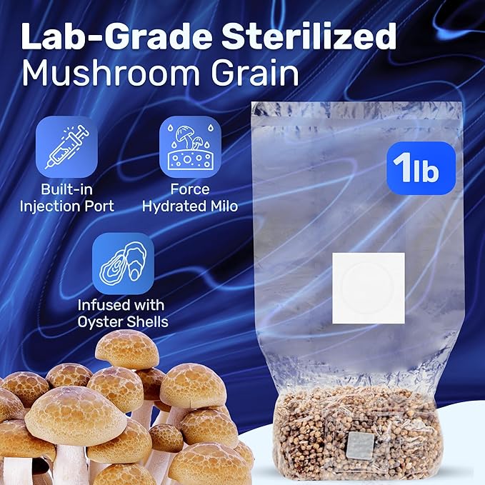 Surfin' Spores Mushroom Grow Kit | 4 lb Grow-in-Bag Kit/Monotub Refill | Includes: 1 lb Sterile Grain Bag with Injection Port & 3 lb Organic CVG Substrate | Spores Not Included (Single)