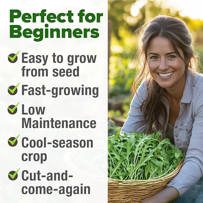 HOME GROWN Arugula Roquette Seeds Pack Non GMO 2,175 Heirloom Arugula Seeds for Planting Best for Outdoor Gardens,Providing Fast-Growing Greens for Salads - Eruca vesicaria