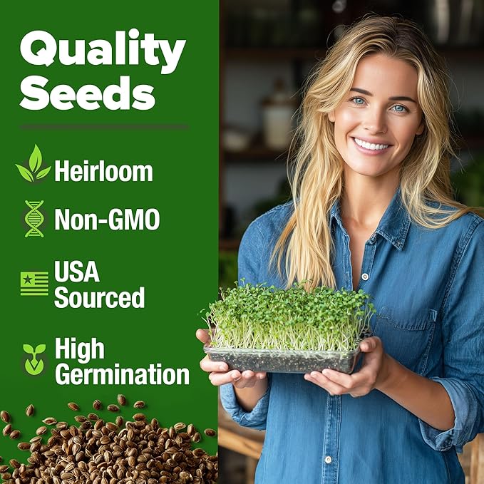 HOME GROWN Broccoli Seeds 8 oz - for Sprouting or Microgreens High Germination Sprout Seeds Nutritious Micro Greens - Broccoli Sprouts in 5 Days - Sulforaphane Rich