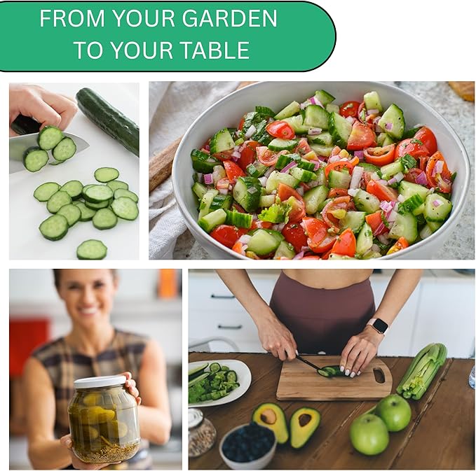 Woods Creek Seeds: Beit Alpha Cucumber Seed CMR/MMR for Planting - Over 90 Heirloom Seed Pack - Non-GMO Pickling Cucumber Seeds for Planting Indoors or Outdoors