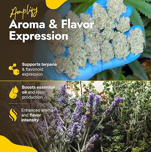 OMRI Listed Organic Concentrated Fish Poop - Liquid Fertilizer for Vegetable Gardens, Indoor Plant Food for Houseplants, Hydroponic Nutrients, Soil Amendment (4 Ounces)