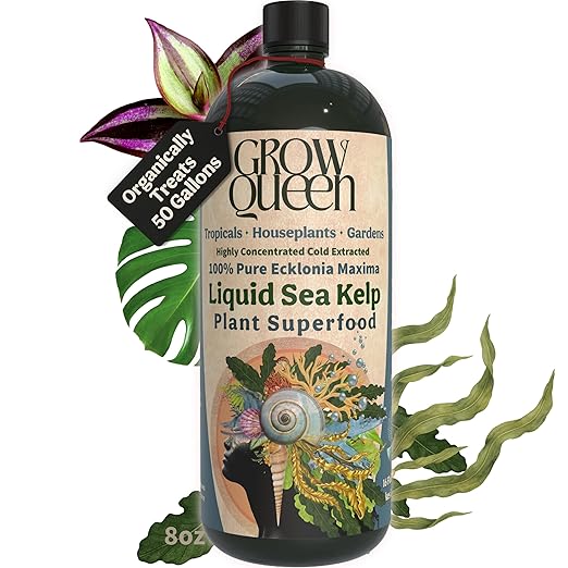 Organic Liquid Kelp & Seaweed Extract (Ecklonia Maxima) Plant Super Food - Indoor Houseplant Fertilizer - Organic Fertilizer for Flowers, Seedlings & Gardens - 8oz Treats 50 Gallons