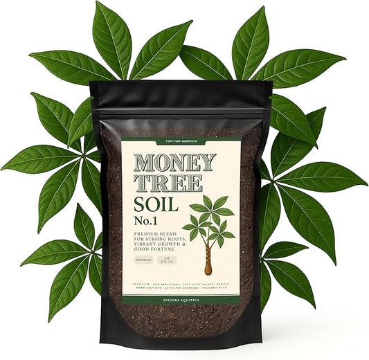 Premium Money Tree Soil – Organic, Nutrient-Rich, Optimal-Draining Potting Mix for Pachira Aquatica – Supports Strong Roots, Balanced Moisture & Lush Foliage – Ready to Use (8 QTS)
