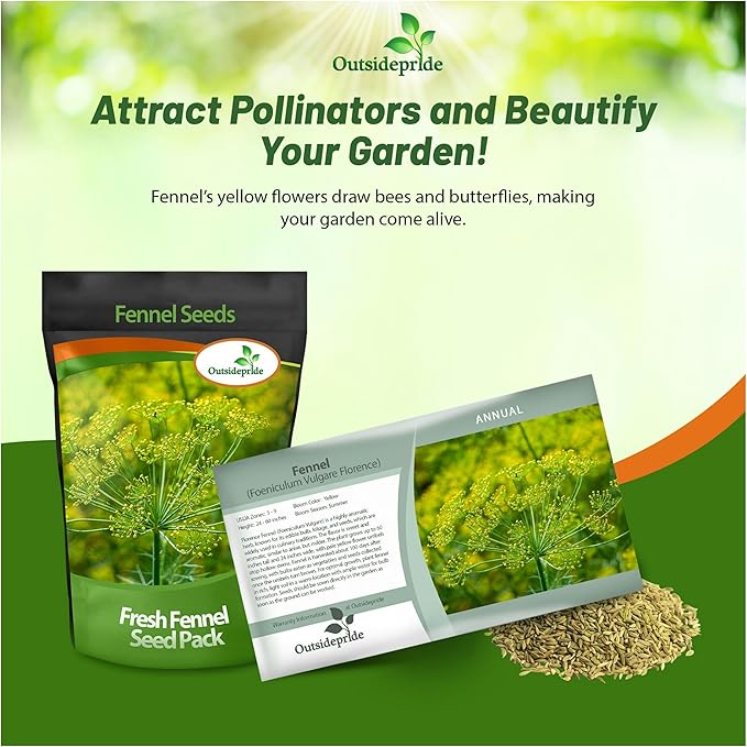 Outsidepride Florence Fennel Seeds - 1 lb. Annual, Pollinator Friendly & Easy to Grow, Herb Seeds for Planting Aromatic & Sweet Yellow Blooms for Versatile Uses & Culinary Creations