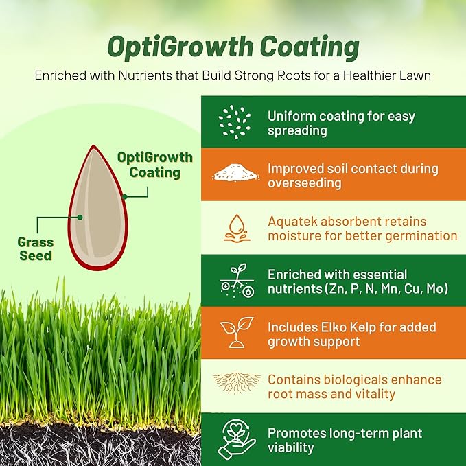Outsidepride Hard Fine Fescue Grass Seed - 5 lbs. Low-Growing, Drought & Shade-Tolerant, OptiGrowth Coated Seed for Lawn & Turf, Ideal for Low-Maintenance, Dense, & Resilient Green Ground Cover