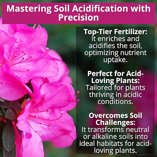 10-10-10 & 8-4-8 Acidic Fertilizer Bundle for All Plants - Acidic Fertilizer for Azaleas, Camellias, Hydrangeas, Liquid Fertilizer Plant Food Outdoor & Indoor Plant Food (12 & 20oz)