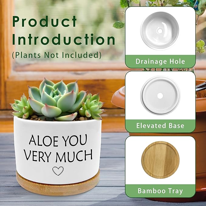 Aloe You Very Much Funny Plant Pots, Gardener Gifts for Women Men Succulent Planters, Funny Gardening Gifts Ceramic Plant Flower Pots for Home Office Desk Table Shelf(No Plants)