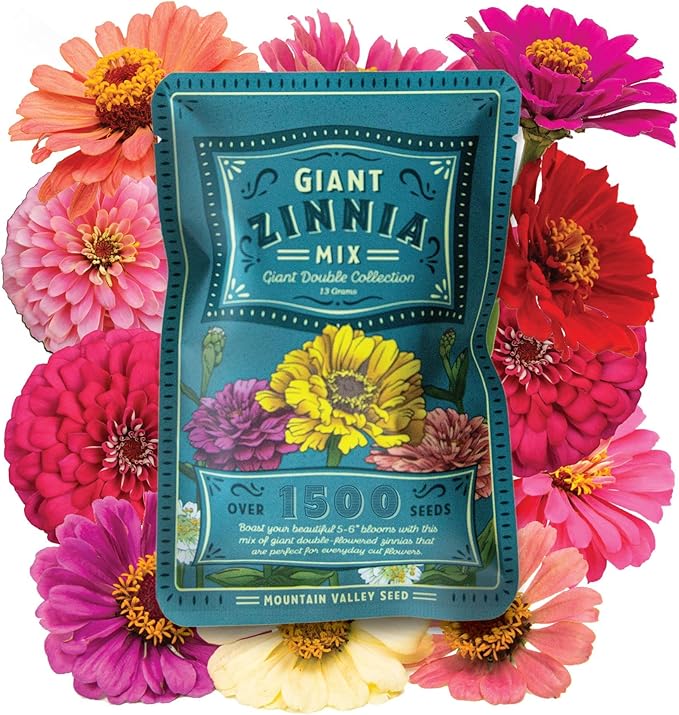 Zinnia Seeds for Planting Outdoors - ~1,500 California Giant Mix Zinnia Seeds - Beautiful 4' Tall Wildflower Blossoms - Zinnia elegans Pollinator Seed Mix - Bright, Cheerful Annual Flower Seed Packets