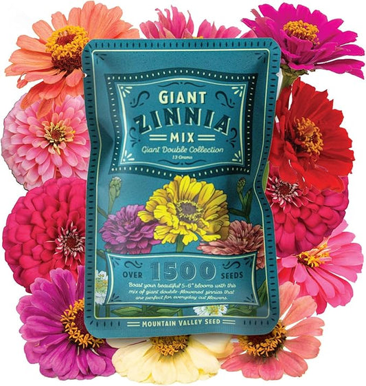 Zinnia Seeds for Planting Outdoors - ~1,500 California Giant Mix Zinnia Seeds - Beautiful 4' Tall Wildflower Blossoms - Zinnia elegans Pollinator Seed Mix - Bright, Cheerful Annual Flower Seed Packets