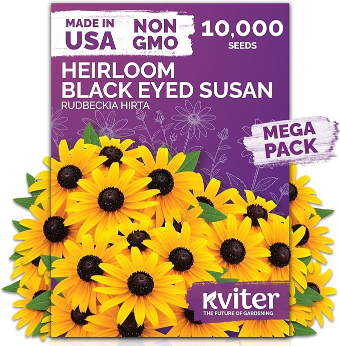 KVITER 10,000 Black Eyed Susan Seeds for Planting (Rudbeckia hirta) – Gloriosa Daisy Wildflower Seed, Heirloom, Non-GMO & Organic – Flower Seeds to Plant Outside & Inside, Borders, Containers