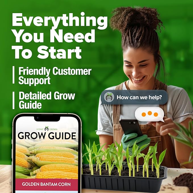 HOME GROWN Golden Bantam Corn 1 Pack 100 Heirloom Vegetable Seeds Grow Sweet Corn Outdoors Easy for Beginners & Great for Home Gardeners High Germination (Zea mays)