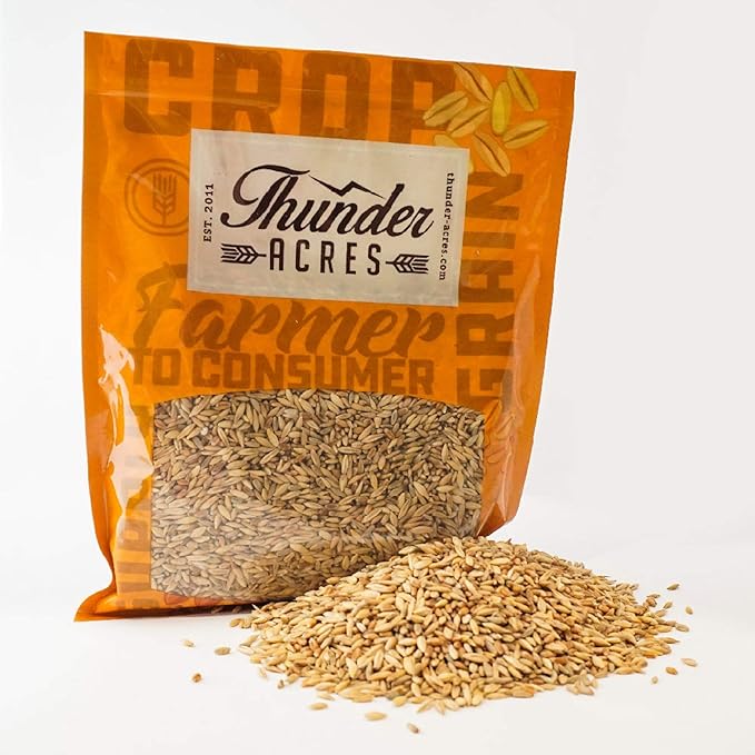 Thunder Acres Cat Grass Blend - Wheat, Barley, Oats, and Rye Seed Mix - Non-GMO - Certified Organic - Bonus CAT Toy (4 oz)