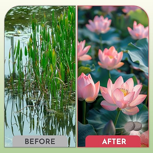 Aquatic Plant Fertilizer for Water Lily and Lotus, Lotus Fertilizer-Fish Friendly, Water Lily Fertilizer Tablets- Supports Lily and Lotus Blooming & Root Growth, Aquarium Plant Food-100 Tablets