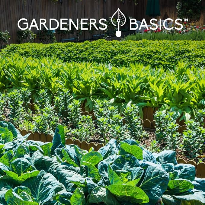 Gardeners Basics Seed Safe Kit – 35 Easy-to-Grow Heirloom Vegetable Seeds for Beginners – Non-GMO Garden Starter Set with 17,000+ Seeds – Perfect Gardening Gift for New Gardeners or Families