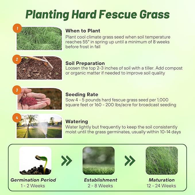Outsidepride Hard Fine Fescue Grass Seed - 5 lbs. Low-Growing, Drought & Shade-Tolerant, OptiGrowth Coated Seed for Lawn & Turf, Ideal for Low-Maintenance, Dense, & Resilient Green Ground Cover