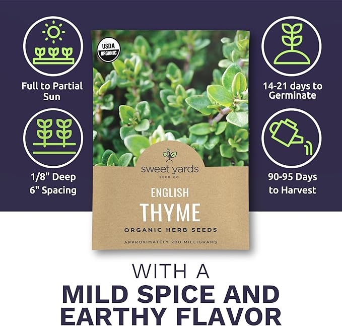 Organic English Thyme Seeds – Two Seed Packets! – Over 1,400 Open Pollinated Non-GMO Seeds – Sweet Yards Seed Co.