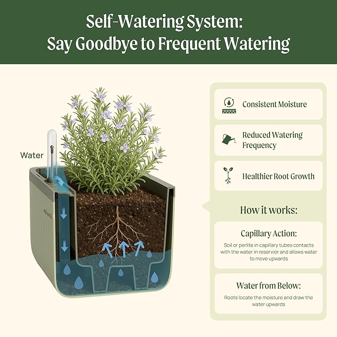 Vego garden 2 Pack Herb Indoor Plant Box, Self Watering Planters Pots for Indoor Plants with Trellis for Kitchen Window Sill or Countertop Plants Cage - Fog Gray