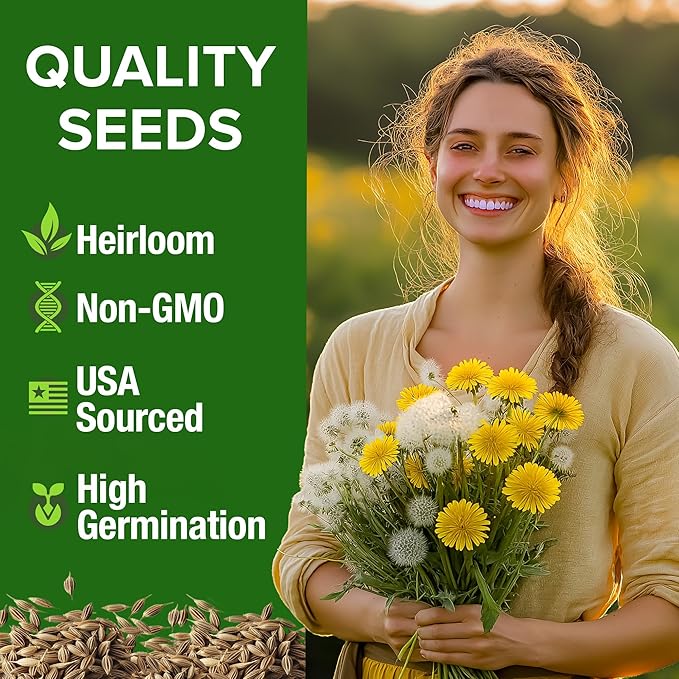 HOME GROWN Dandelion Seeds for Planting – 600 Heirloom Medicinal Herb Seeds (~0.3g) Grow Edible Leaves and Flowers for Remedies or Wildlife (Taraxacum officinale)