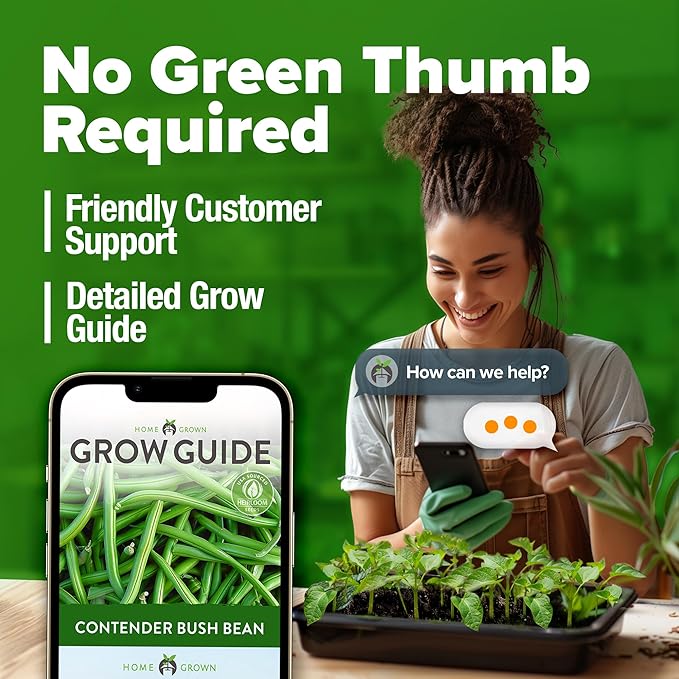 HOME GROWN Contender Bush Bean Pack - 28 Heirloom Green Beans, Vegetable Seeds for Planting, Emergency Food Supply (Phaseolus vulgaris)