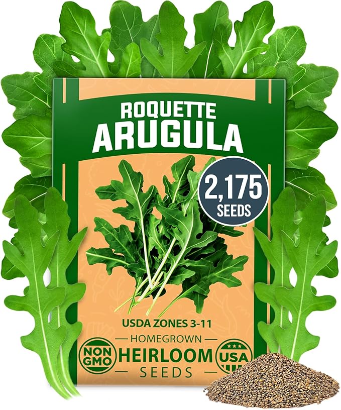 HOME GROWN Arugula Roquette Seeds Pack Non GMO 2,175 Heirloom Arugula Seeds for Planting Best for Outdoor Gardens,Providing Fast-Growing Greens for Salads - Eruca vesicaria