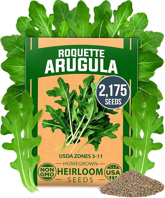 HOME GROWN Arugula Roquette Seeds Pack Non GMO 2,175 Heirloom Arugula Seeds for Planting Best for Outdoor Gardens,Providing Fast-Growing Greens for Salads - Eruca vesicaria