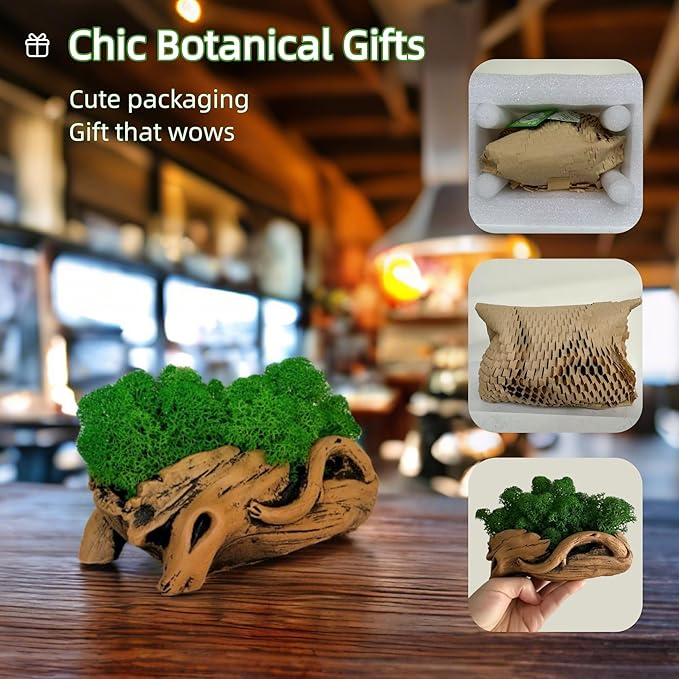 Moss Centerpiece 6in, Handmade Artificial Bonsai with Real Moss, No Maintenance