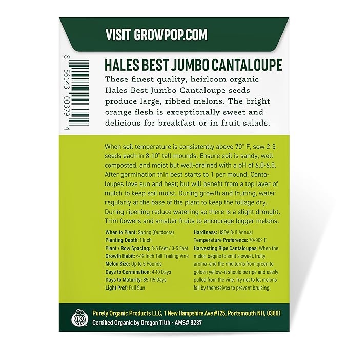 Organic Cantaloupe Seeds (Hales Best Jumbo) - Approx 80 Seeds - USDA Organic, Non-GMO, Open Pollinated, Heirloom, USA Origin (Pack of 2)