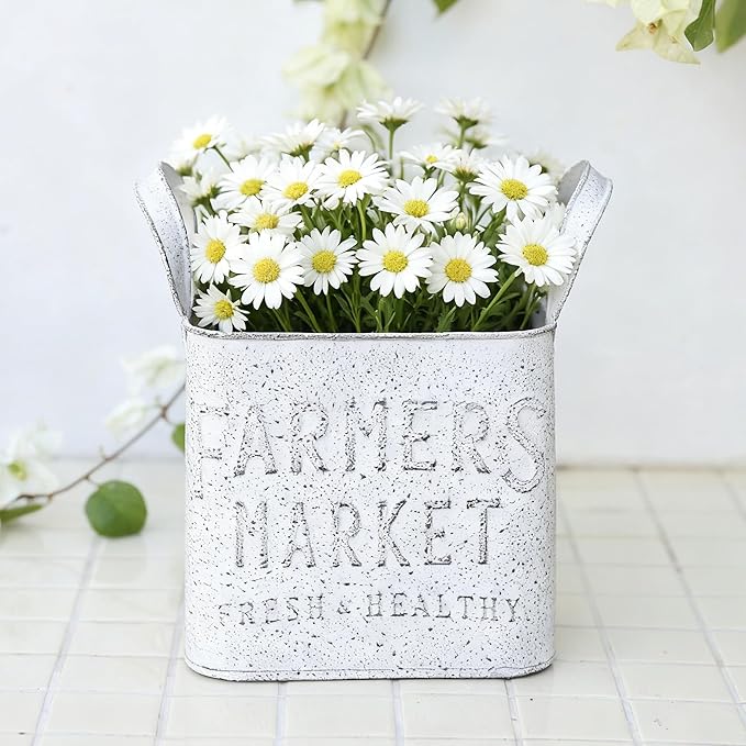 Vintage Metal Flower Planter Buckets with Handle Set of 2 Rustic Metal Flower Pots Farmhouse Plant Containers for Herb Succulent, Indoor Outdoor Garden Home Yard Bathroom Kitchen Decor (White)