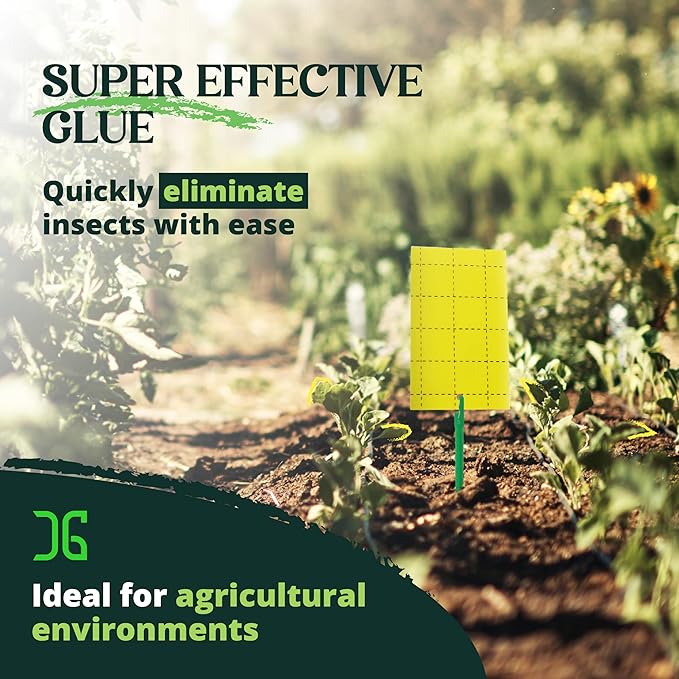 Catchmaster GRO Yellow Regular Double Sided Sticky Traps 72PK, Adhesive Bug & Fruit Fly Trap, Pest Control for Home, Farm, Garden, Hydroponics & Greenhouse, Protect Live Plants Indoor & Outdoor